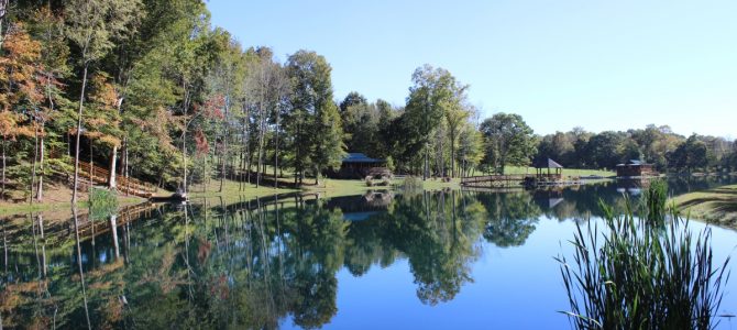 The Lake The Lake