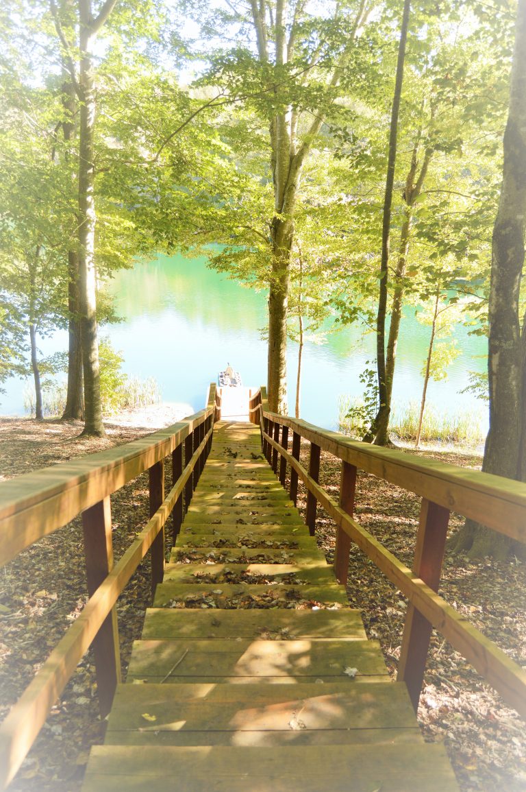 The Lake Peaceful Valley Lake and Cabins