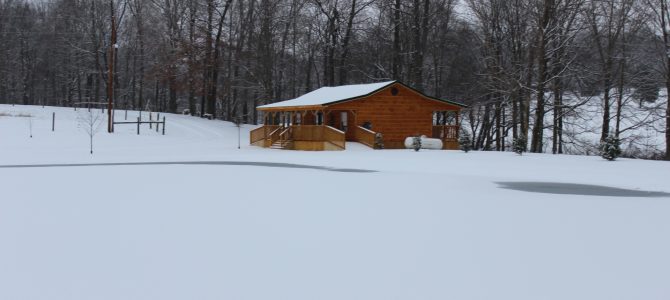 Winter Lake View
